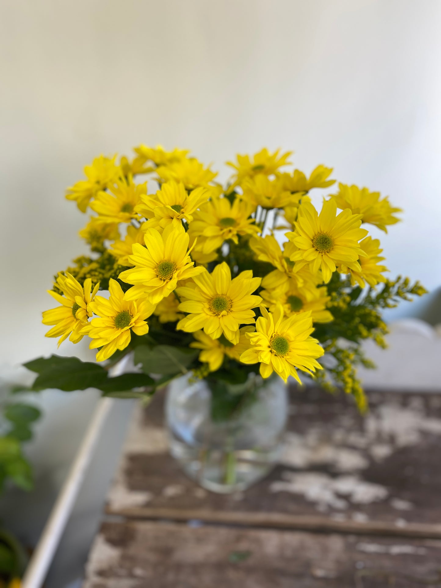 Made With Love - Delightful Daisies