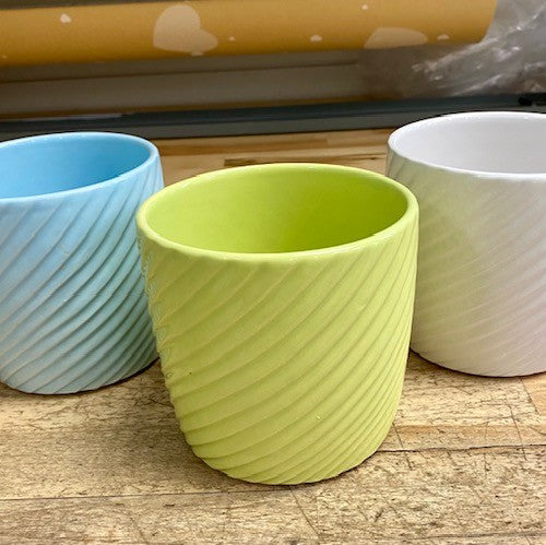 New Pots – Wild Willy's Plants and Flowers