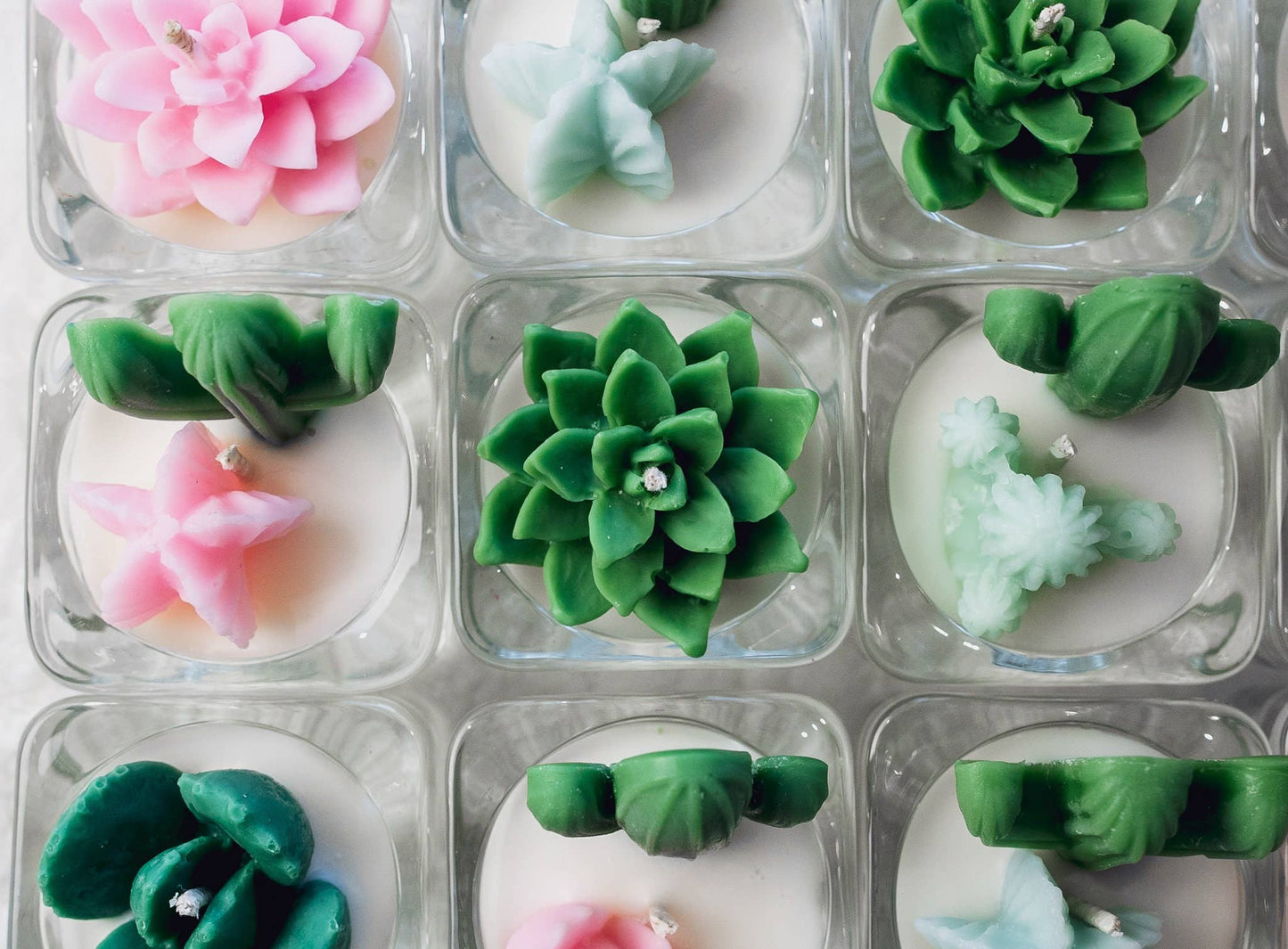 Tealight Candles - Bear Paw Succulent