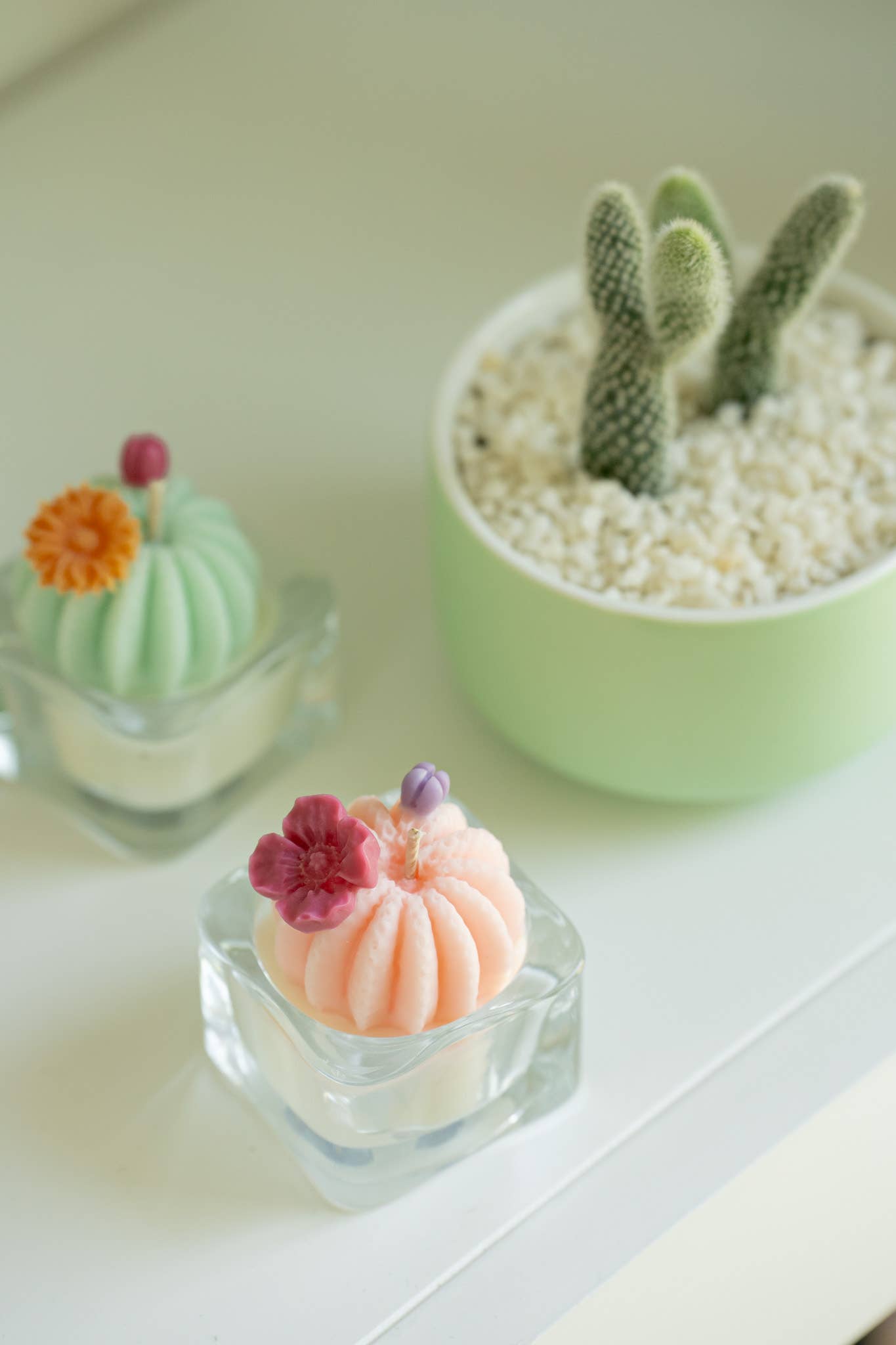 Tealight Candles - Barrel Cactus
