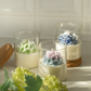 Soy Blend Candle - Endless Summer Hydrangea