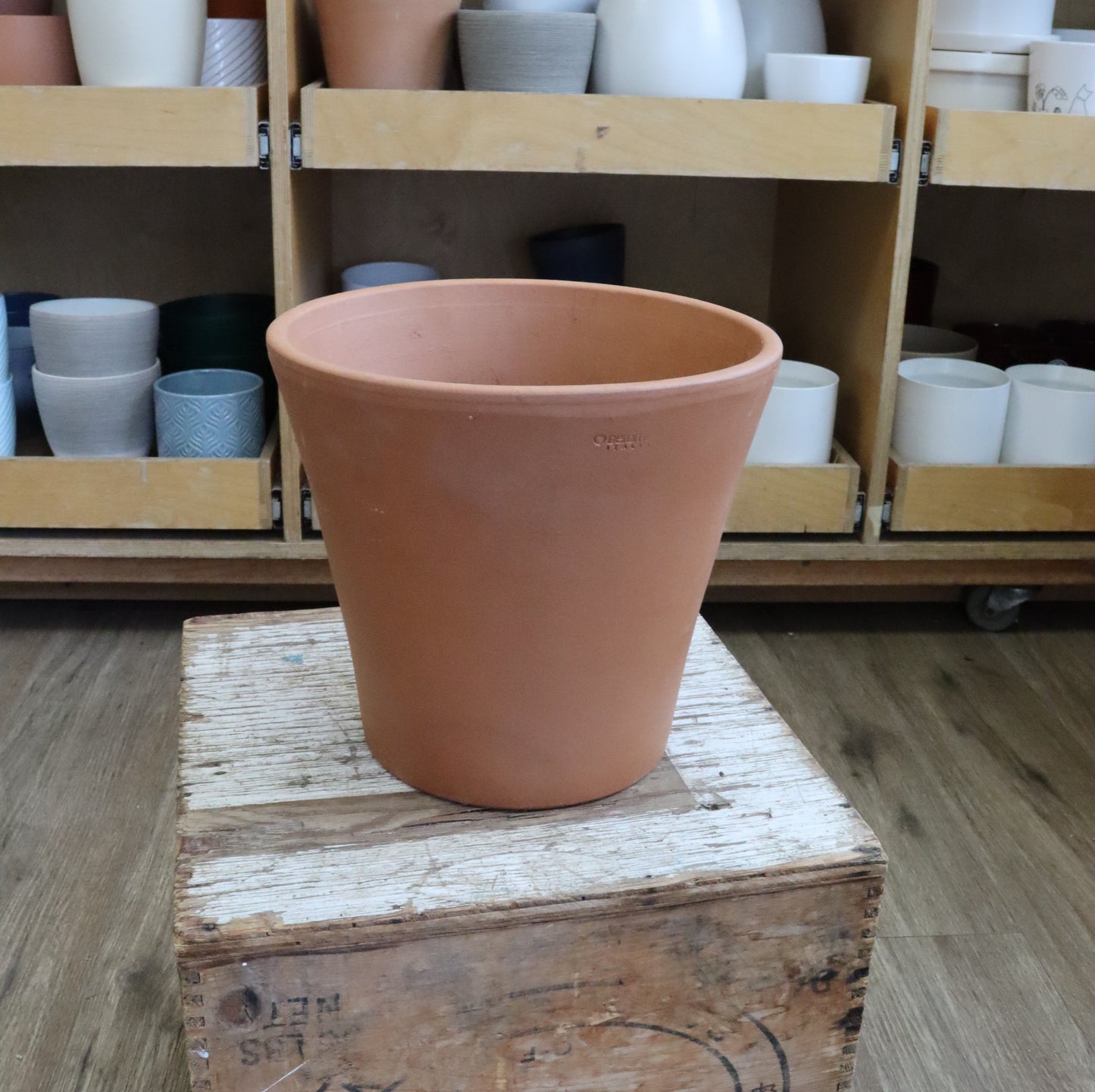 10" Cono Orange Terra Cotta Pot