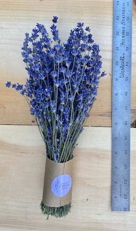 Dried English Lavender Bouquets - ON