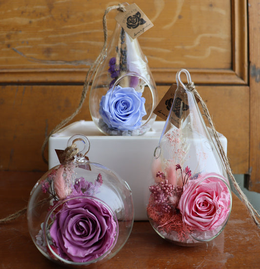 Preserved Rose: Pretty In Pink