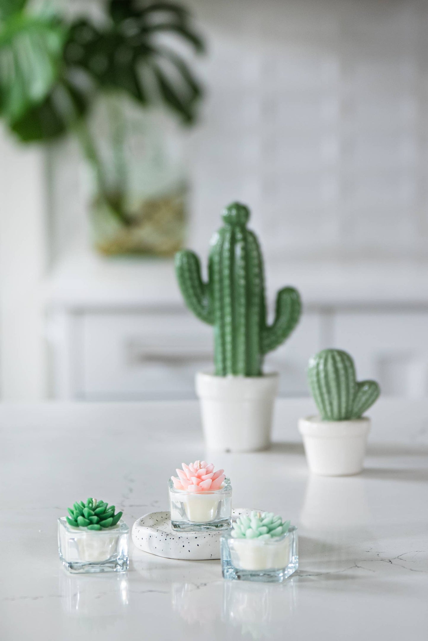 Tealight Candles - Bear Paw Succulent
