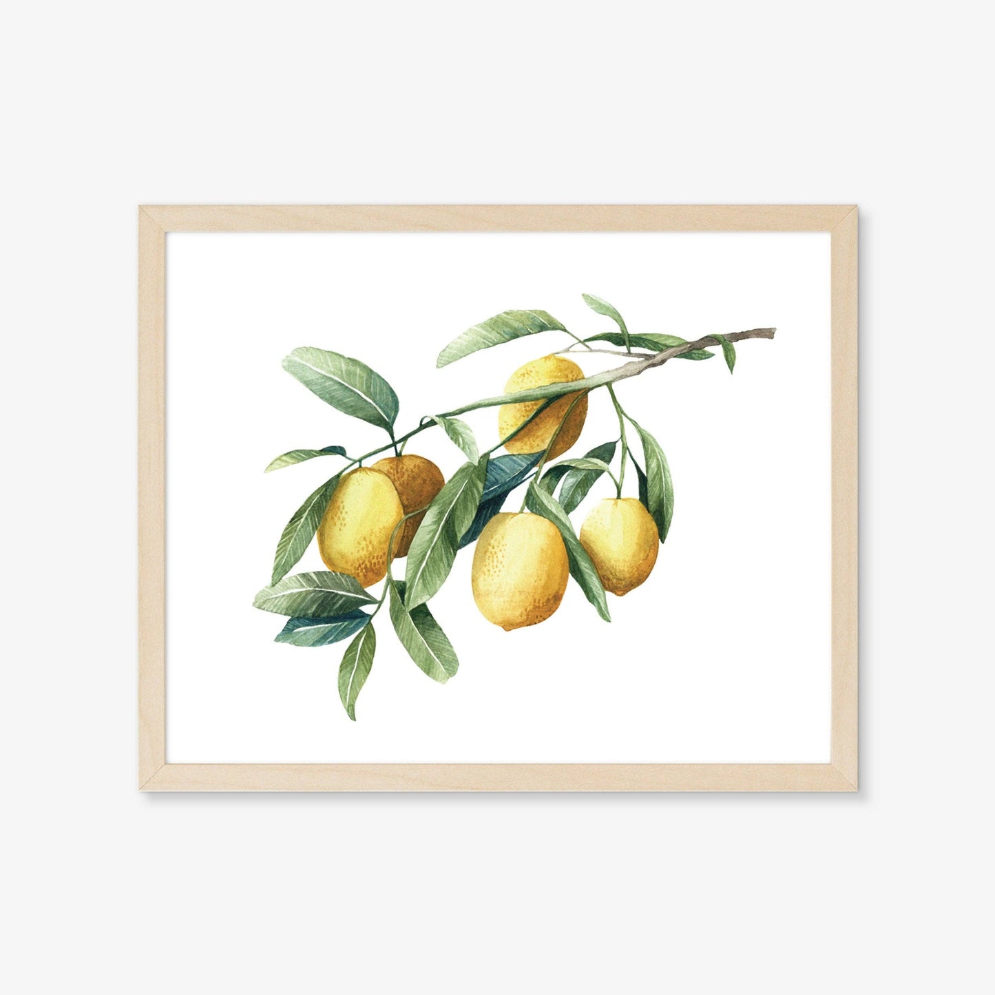 Botanical Art Prints - BC