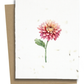 Plantable Greeting Cards - BC