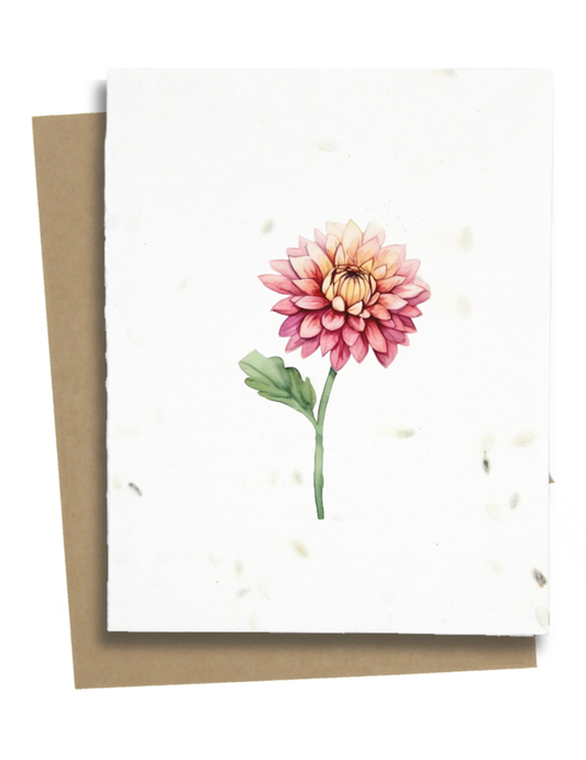 Plantable Greeting Cards - BC
