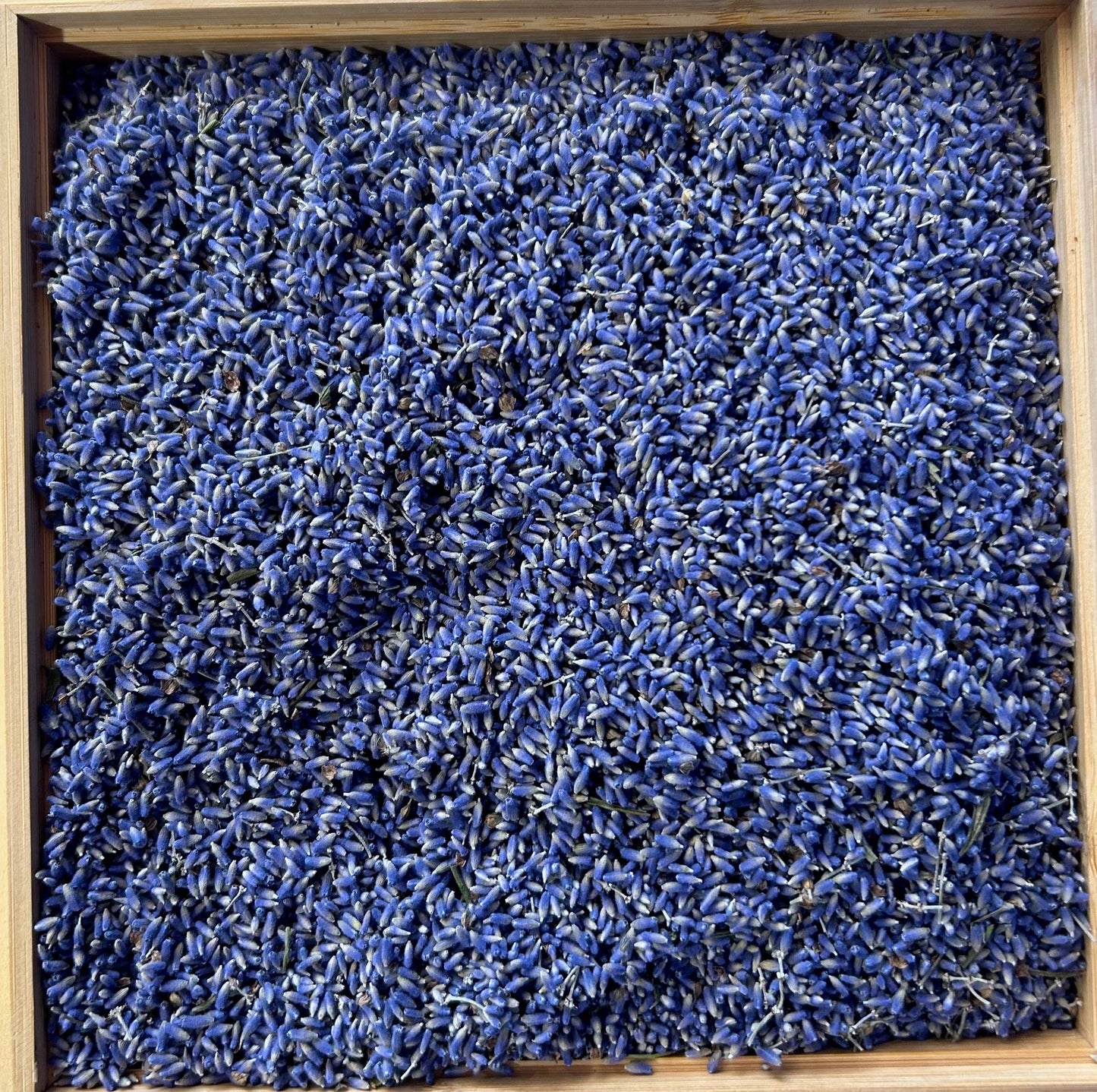 Dried Bulk Lavender - ON