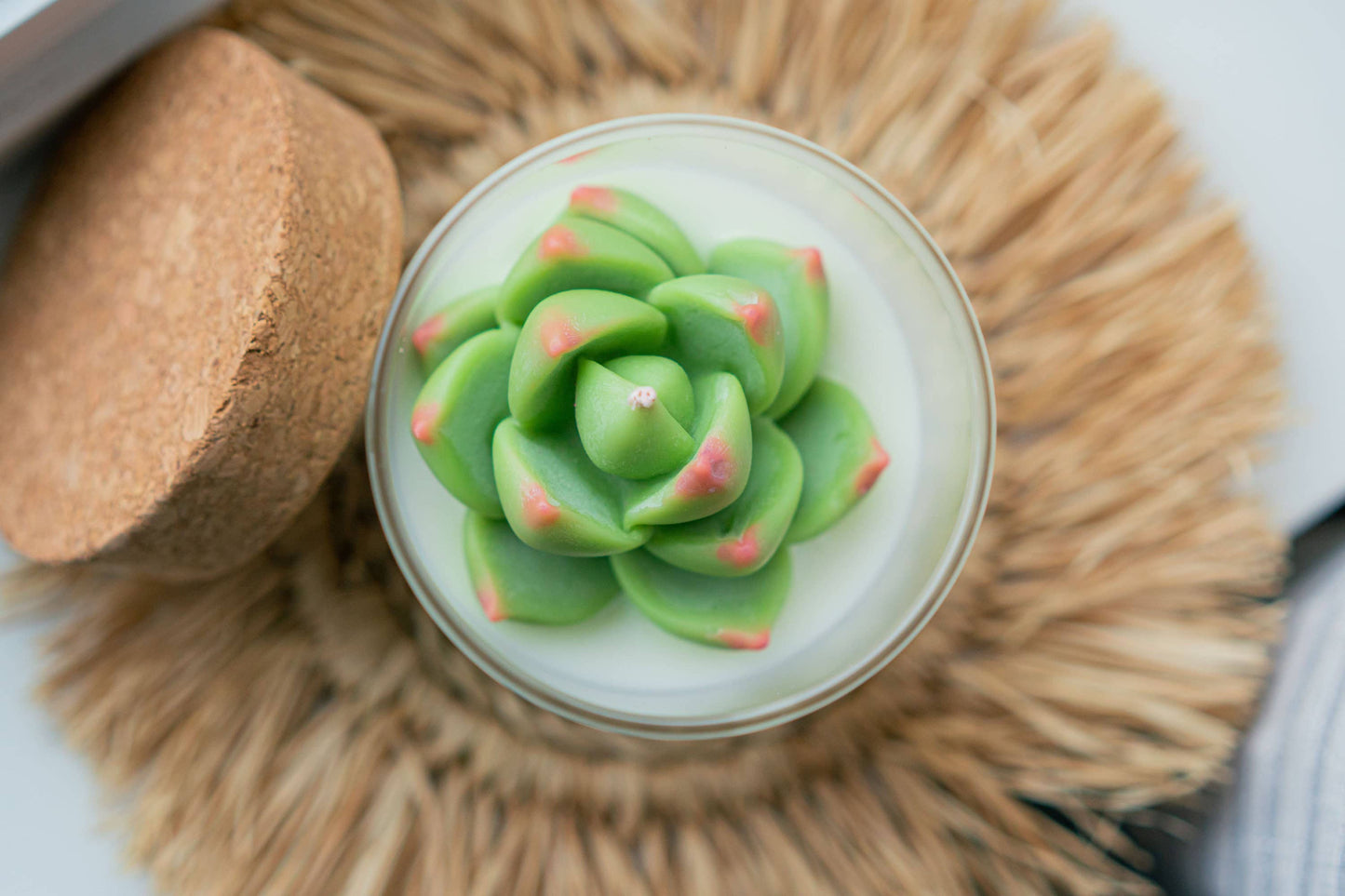 Soy Blend Candle - Succulent