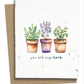 Plantable Greeting Cards - BC