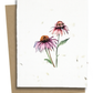 Plantable Greeting Cards - BC