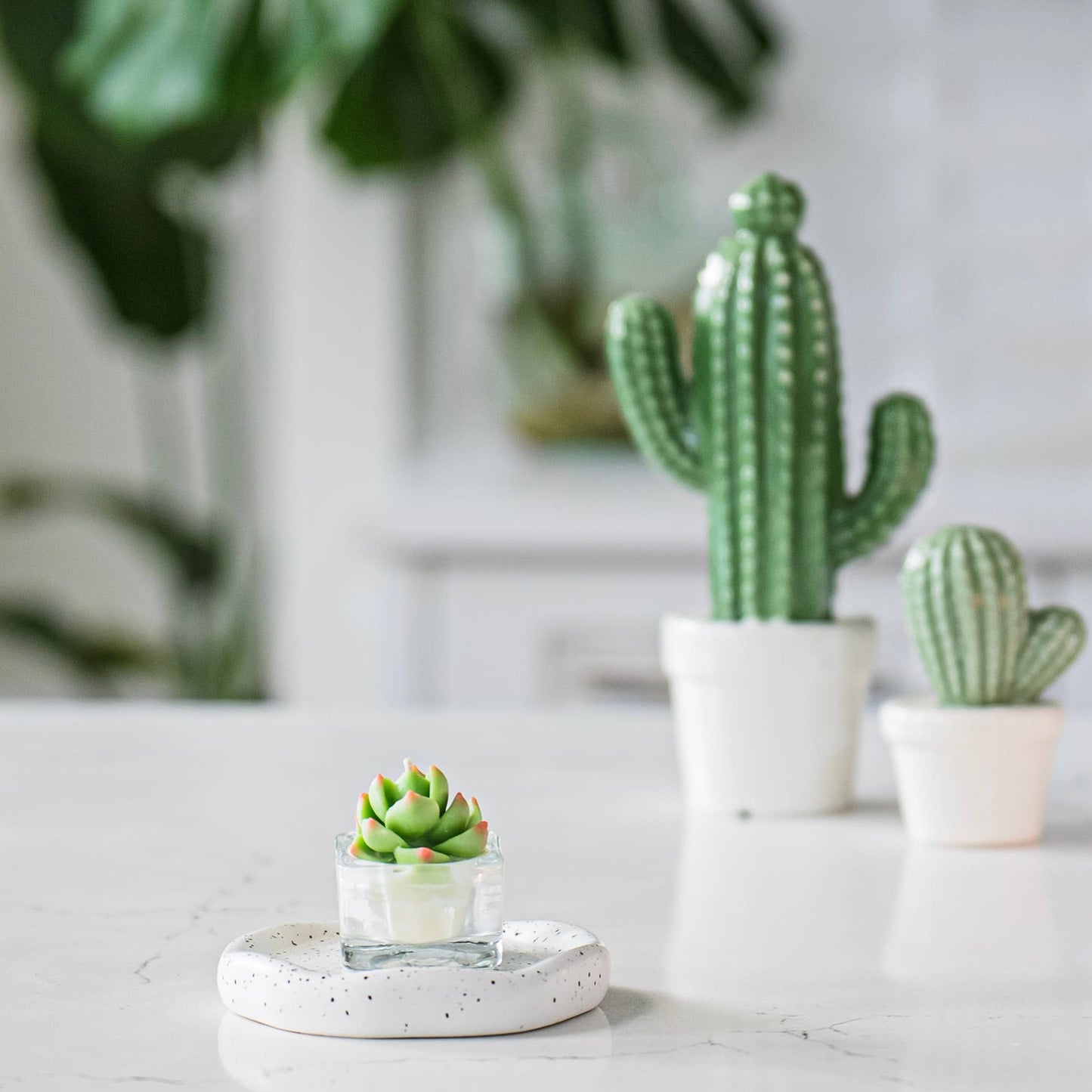 Tealight Candles - Succulent