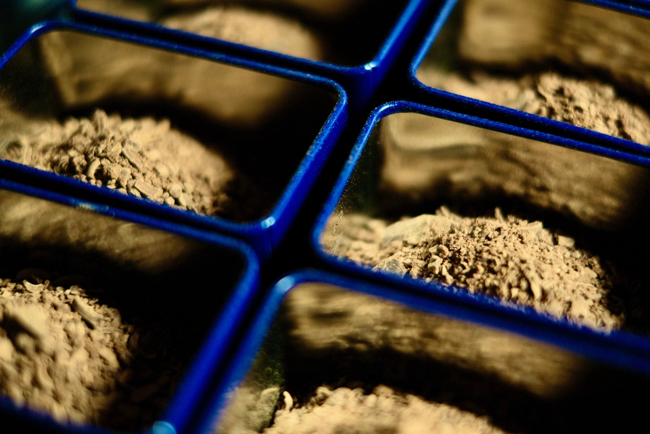 Soul Chocolate Tins & Pouches - ON