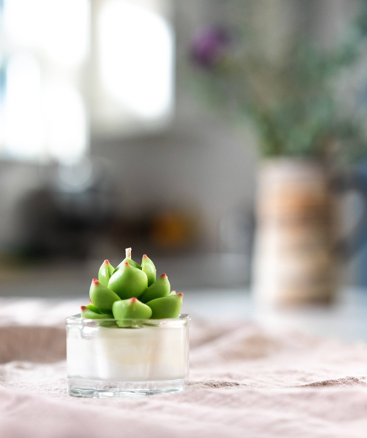 Tealight Candles - Succulent
