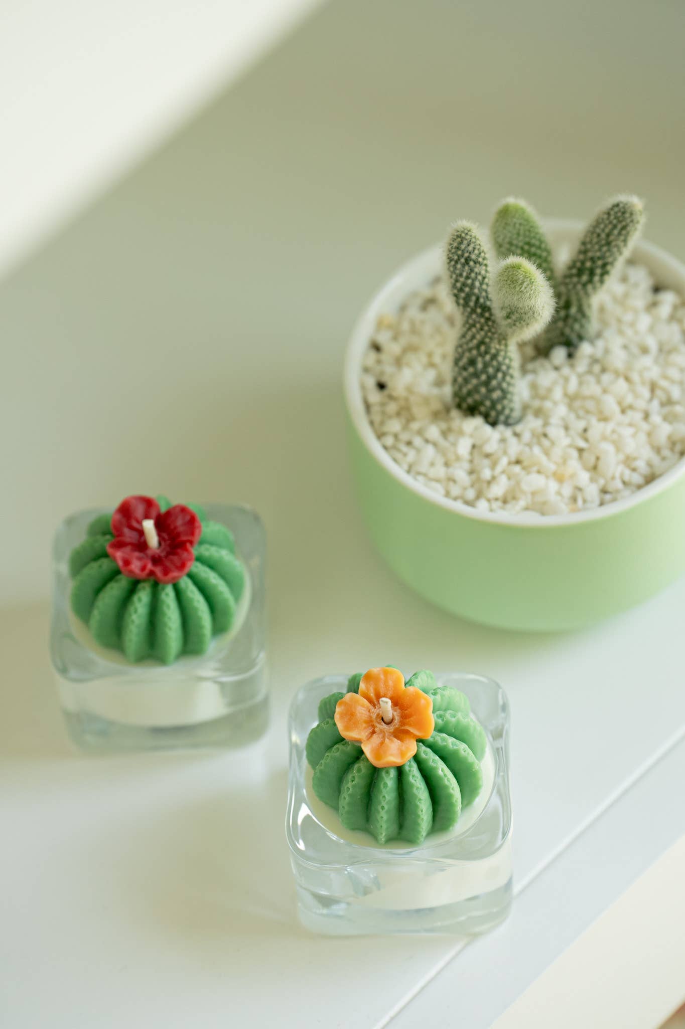 Tealight Candles - Barrel Cactus