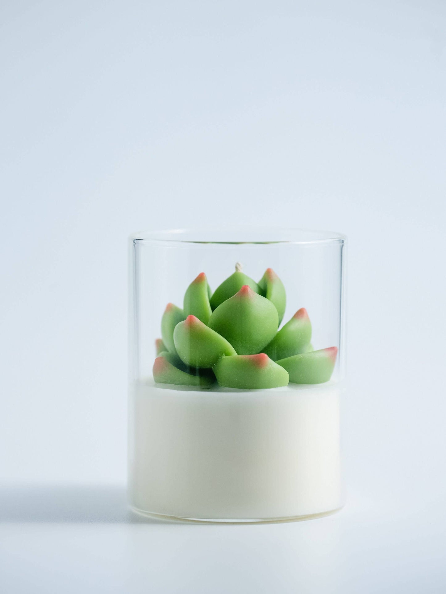 Soy Blend Candle - Succulent