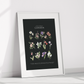 Botanical Art Prints - BC