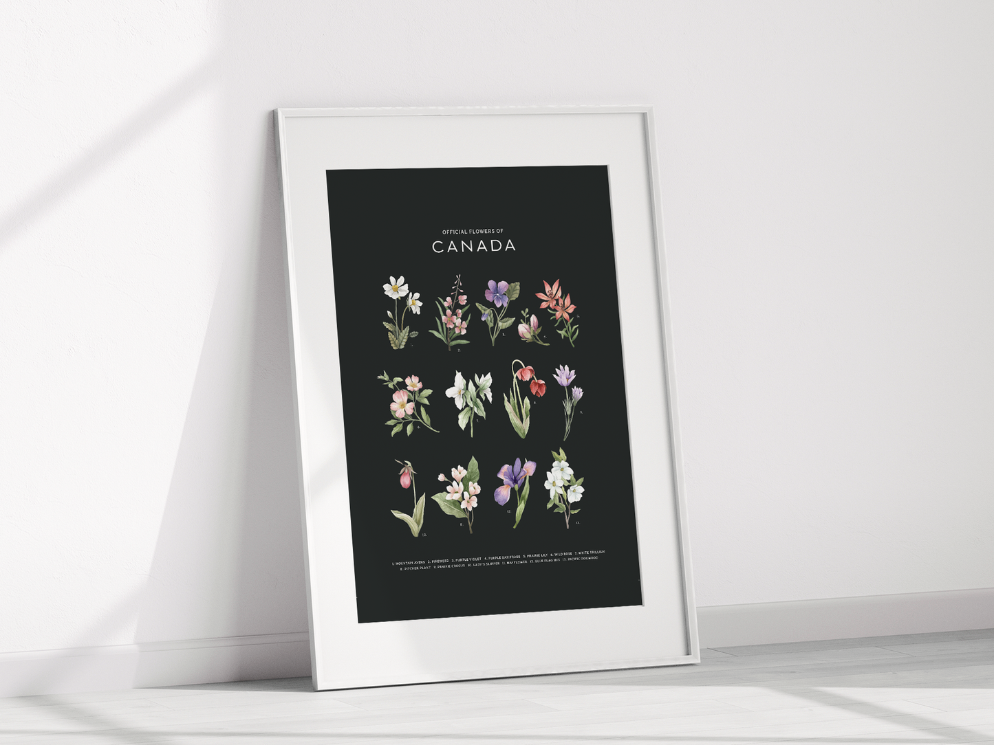 Botanical Art Prints - BC