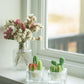 Tealight Candles - Fairy Castle Cactus