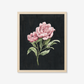Botanical Art Prints - BC