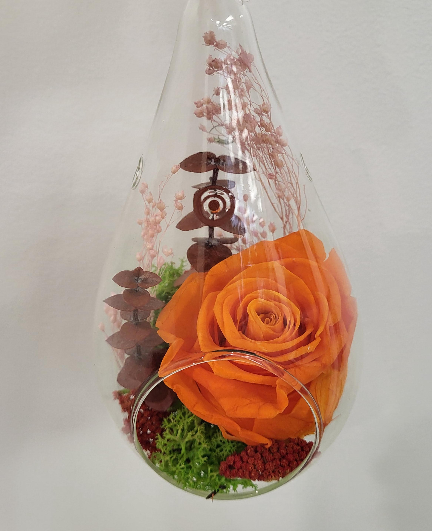 6" Preserved Rose Tear - Orange (RT-O1)