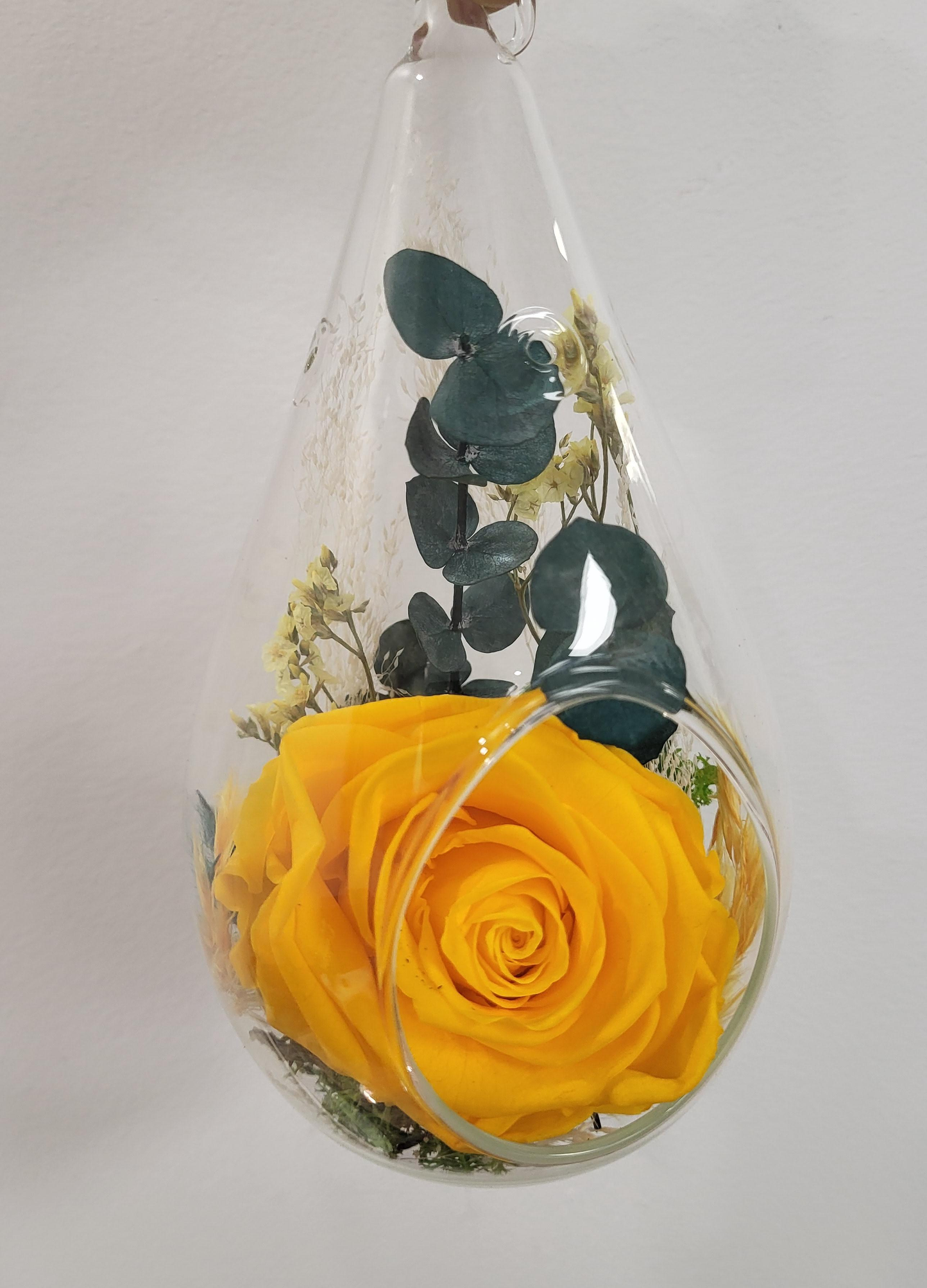 6" Preserved Rose Tear - Yellow (RT-YE1)