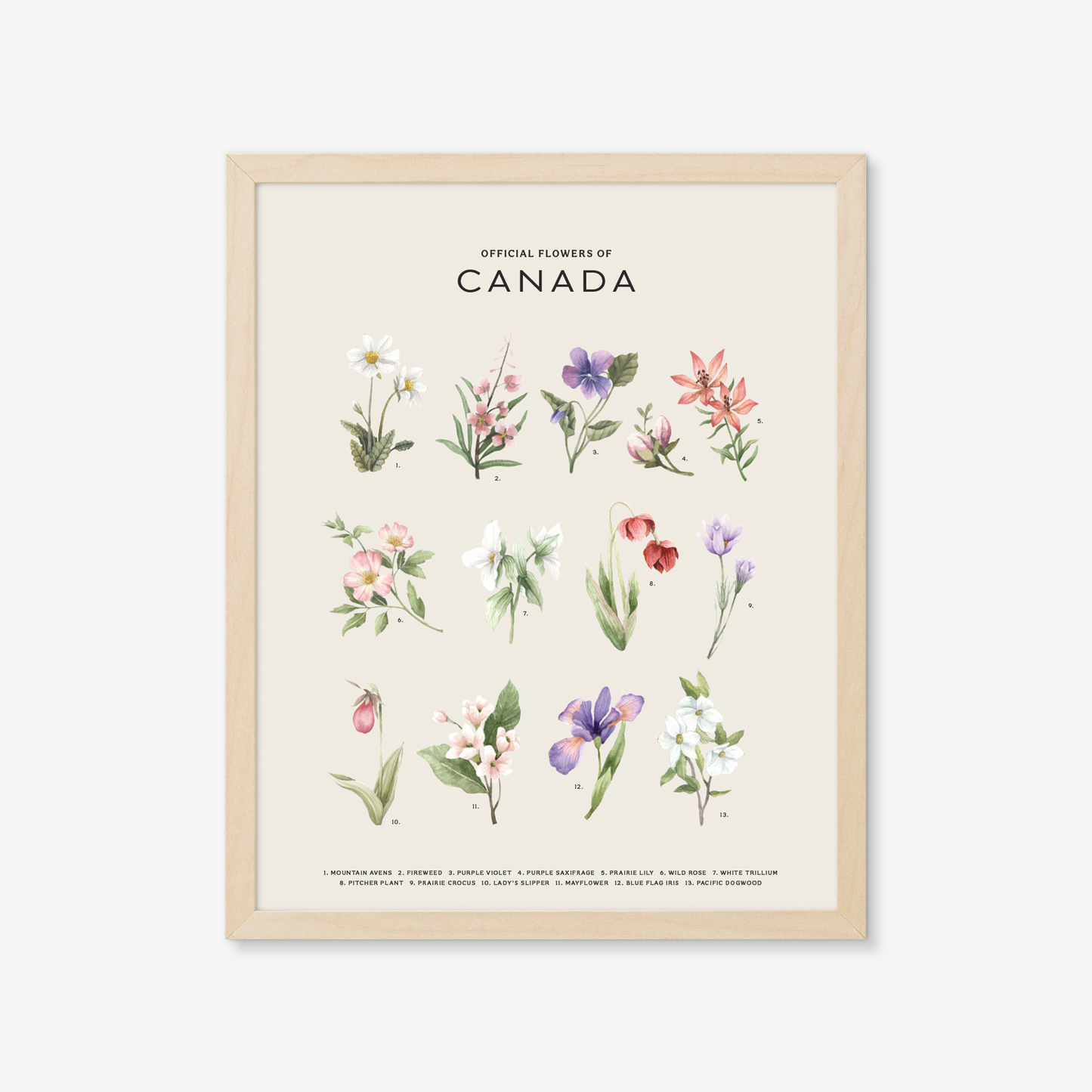 Botanical Art Prints - BC