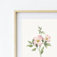Botanical Art Prints - BC