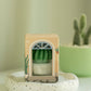 Tealight Candles - Barrel Cactus