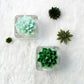 Tealight Candles - Bear Paw Succulent