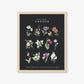Botanical Art Prints - BC