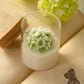 Soy Blend Candle - Nikko Blue Hydrangea