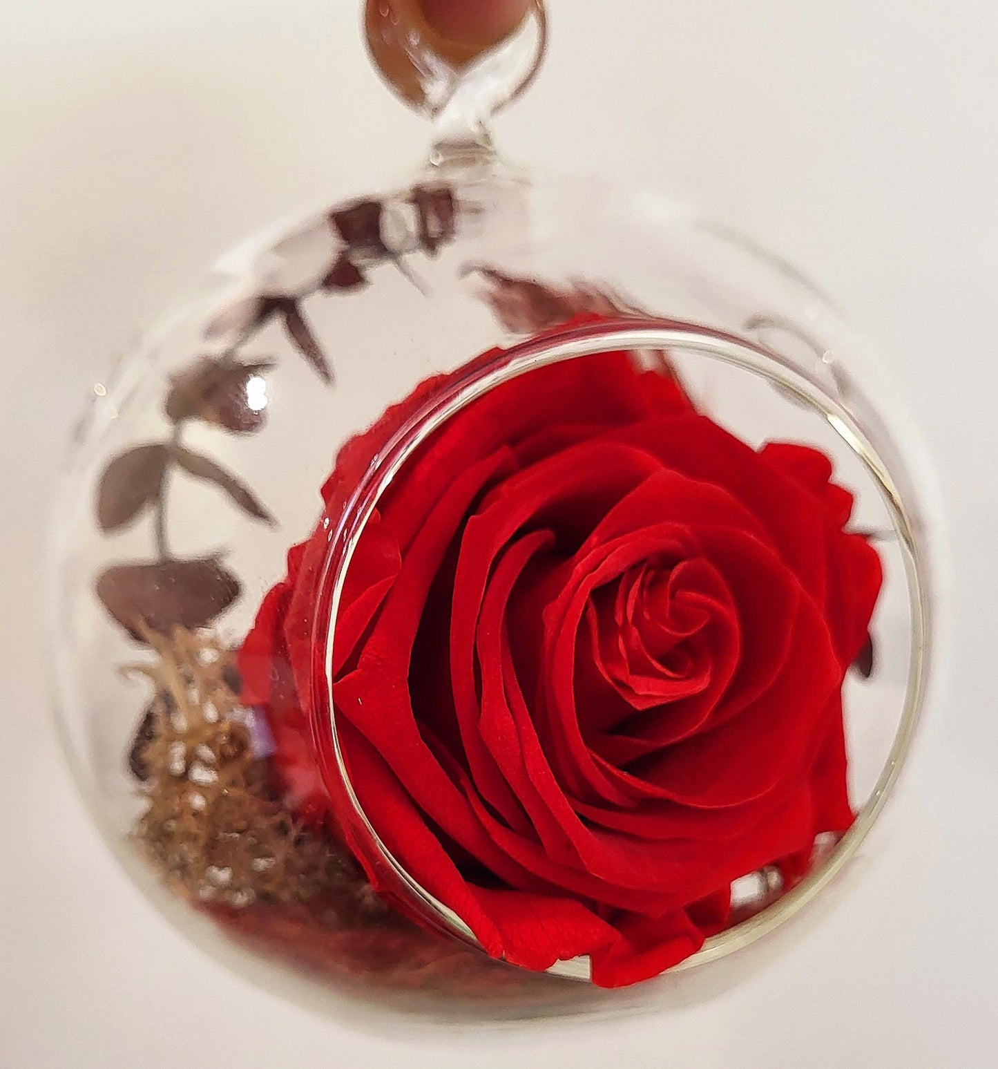 4" Preserved Rose Sphere - Red (RS4.RD1)
