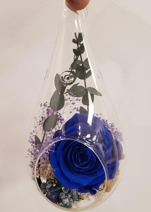 6" Preserved Rose Tear - Navy Blue (RT.NB1)