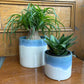 Blue Reactive Glazed Ceramic Pot - Assorted Sizes