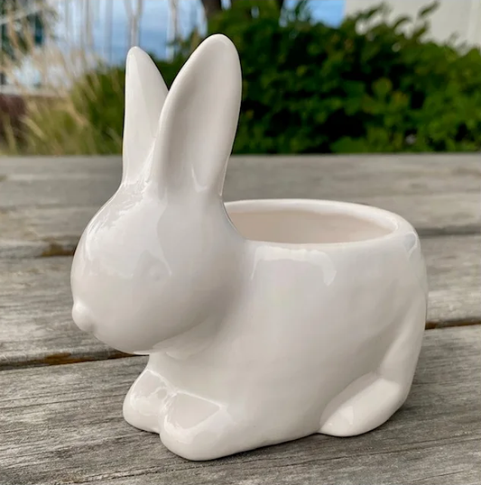 4.5" Dolomite Bunny Pot