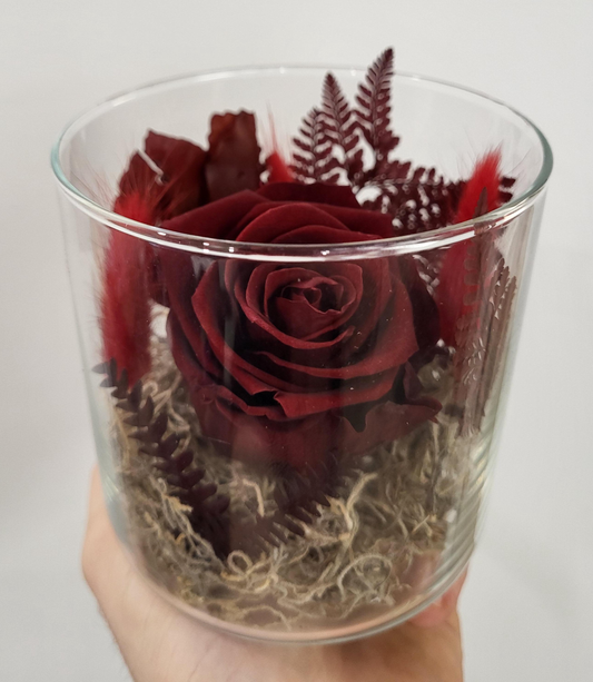 Preserved Rose in Jar - Burgundy (RJ.BG1)