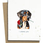 Plantable Greeting Cards - BC