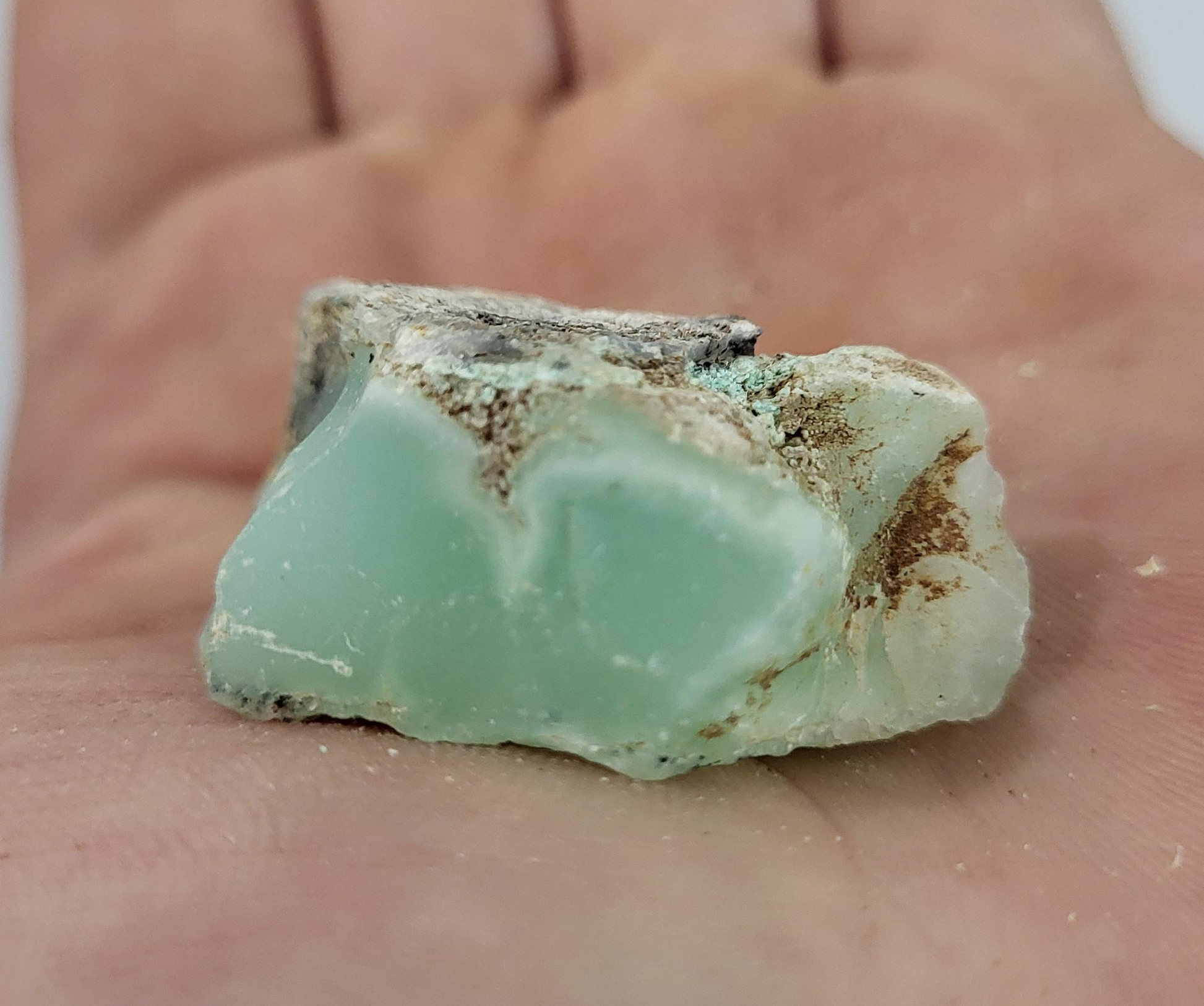 Chrysoprase Loose Rough Stone – Wild Willy's Plants and Flowers