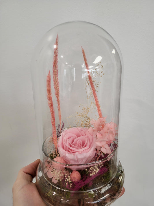 Preserved Rose in Cloche - Pale Pink (RC.PP1)