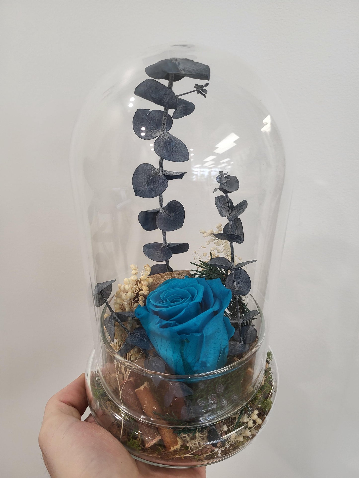 Preserved Rose in Cloche - Teal (RC.T1)