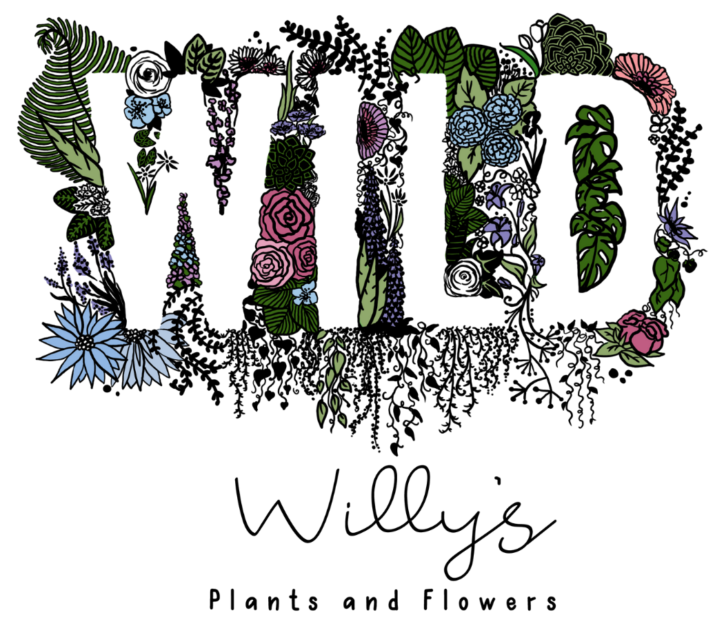 Wild Willy's Plants and Flowers logo