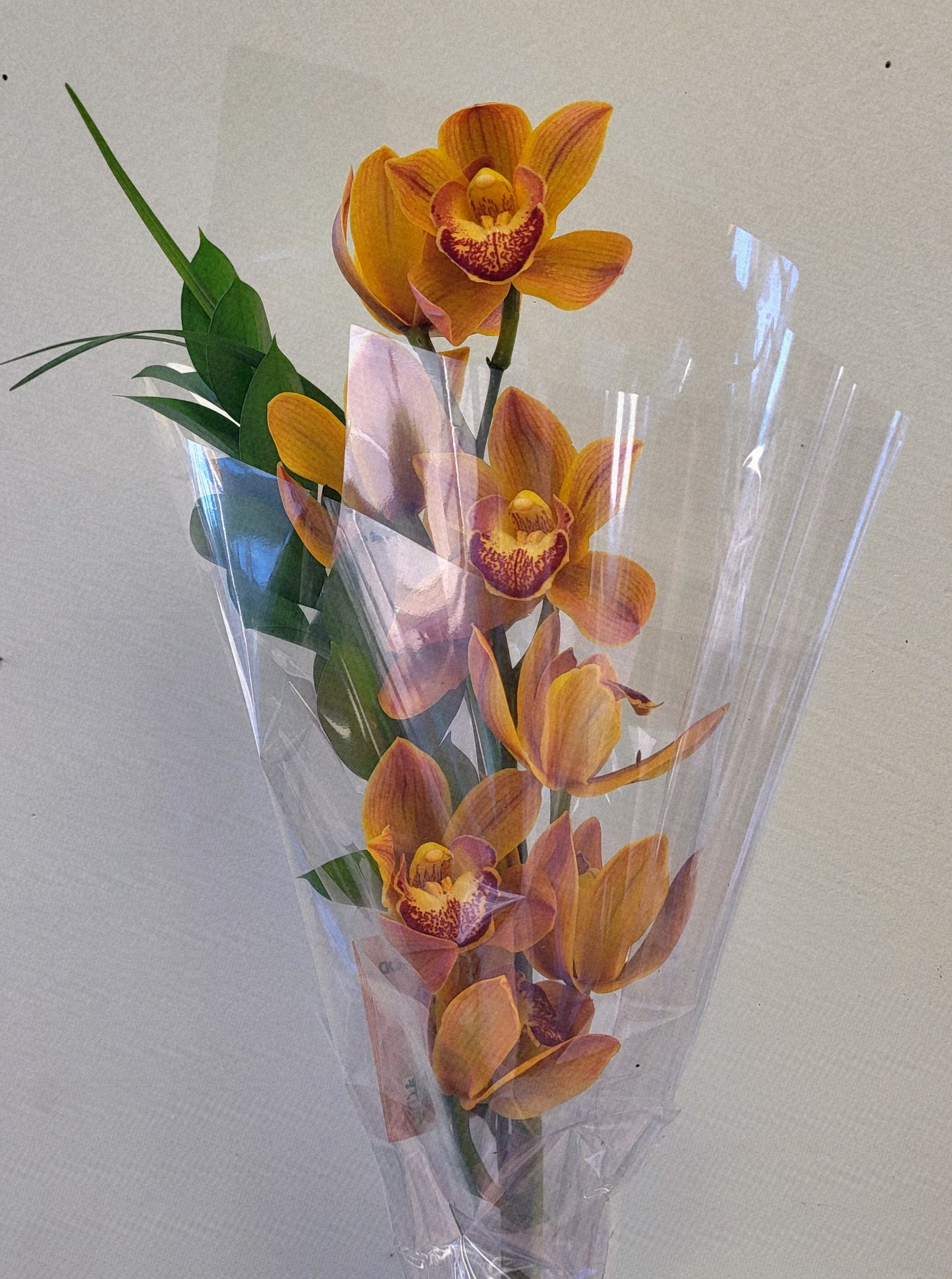 Made with Love - Cymbidium Orchid