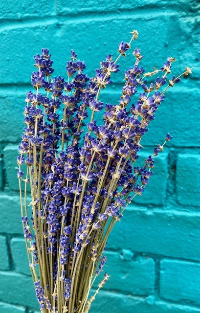 Dried Lavender