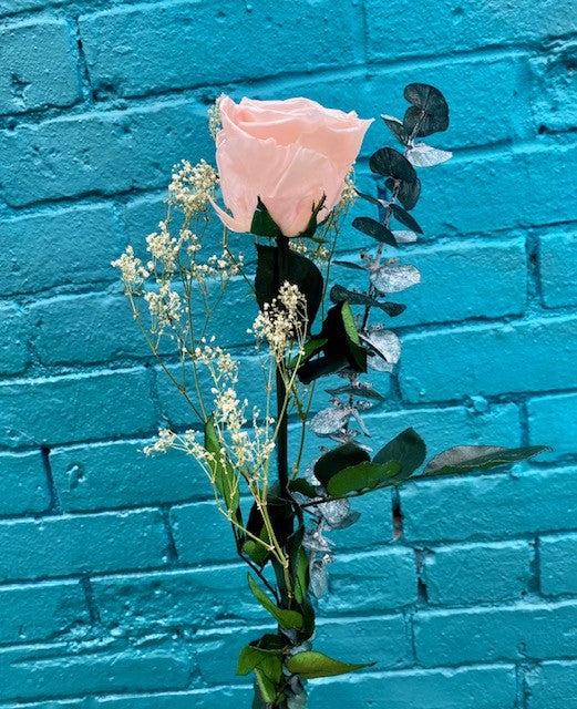 Preserved Long Stem Pink Rose with Dried Botanicals