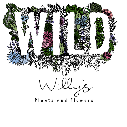 Warm Me Up! Festive Chocolate Gift Set