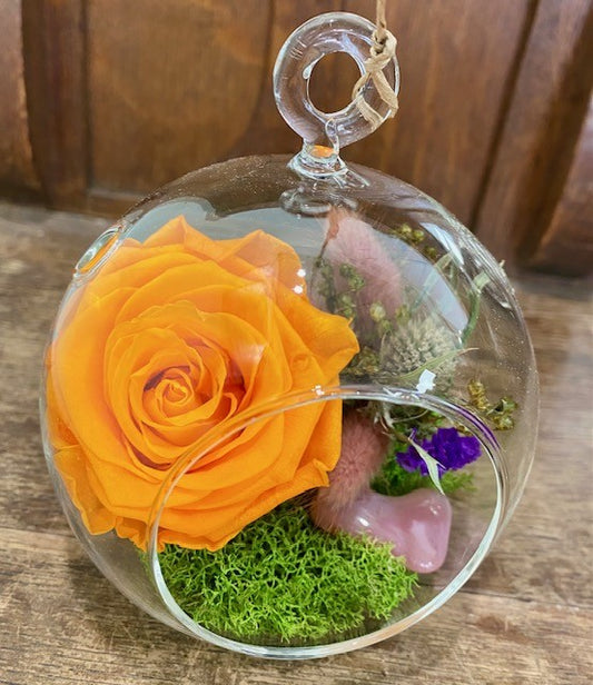 Preserved Orange Rose in a Glass Sphere. Fall O2