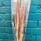 Dried Preserved Foxtails. Pampas Grass.