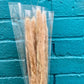 Dried Preserved Foxtails. Pampas Grass.